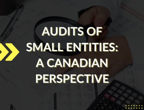 Audits of Small Entities: A Canadian Perspective